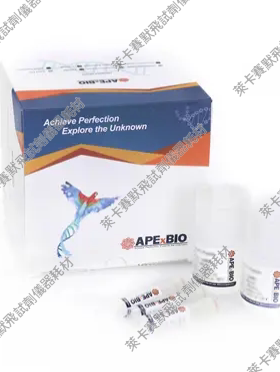 HyperScribe™T7 siRNA Synthesis双链RNA合成试剂盒用于RNAi实验