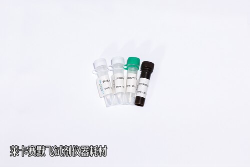 BIOG UDG探针法荧光定量PCR试剂盒BIOGᴴˢᒼUDG Super Probe Kit
