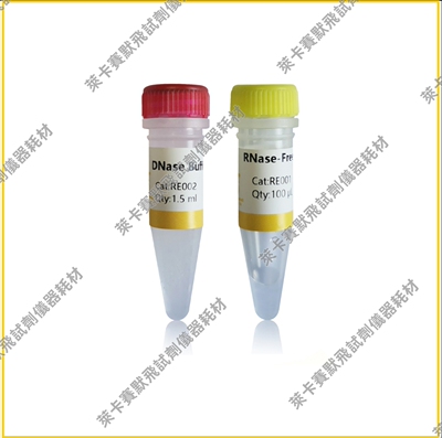 DNase I (RNase-free) (1000 U) 可消化单链或双链DNA，无RNase