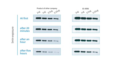 Hypersensitive chemiluminescence kit，超敏ECL化学发光试剂盒
