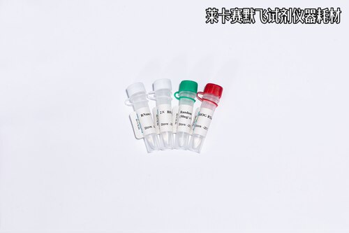 BIOG微生物RNA逆转录试剂盒,超高灵敏度,最低可检测到1pg目标RNA