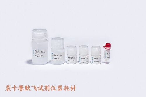 百代BIOG Cell RNA Mag-B Kit，BIOG微量细胞RNA磁珠法提取试剂盒