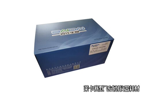 BCIP/NBT显色试剂盒,超高碱性磷酸酶反应灵敏度,用于印迹杂交检测