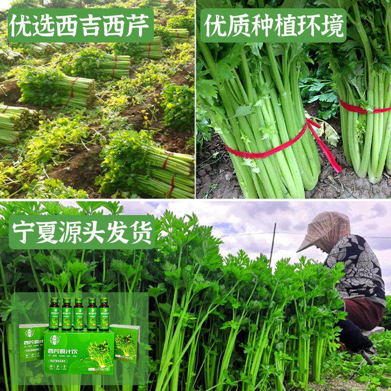 恒100%纯芹汁菜MDD汁鲜榨西芹血压覆合轻果汁饮料无添加断食果蔬
