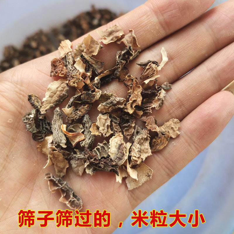 云NTS南羊肚菌破碎干 0干025克碎菌煲熬汤食材野生菌羊肚蘑菇50克