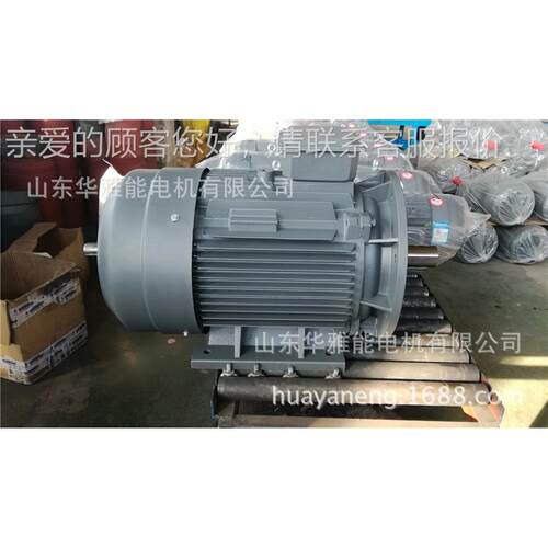 YYB-HRL TFP GSP2 50T电机空心轴YQB电机喷底漆逆时针转向做标记