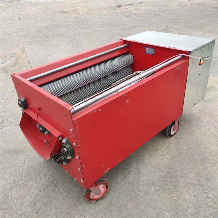 厂家直供核桃去青皮机 鲜核桃脱皮机 剥皮清洗一体机