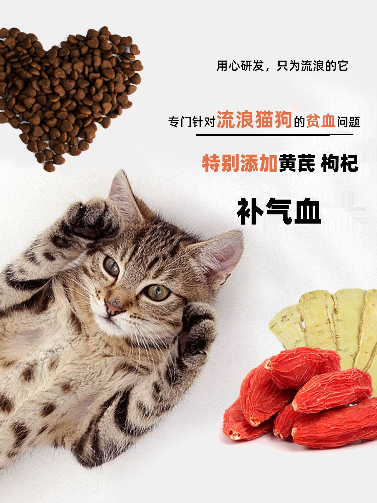 老疯杨救助粮猫粮狗粮随身小包便携装看到流浪猫狗请给它喂一点-封面