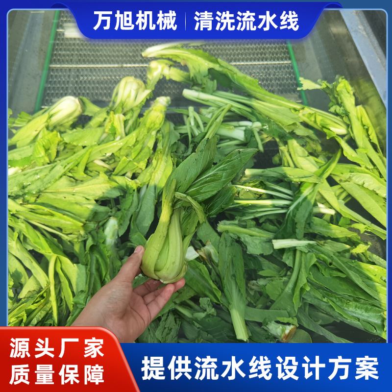 餐饮配送中心蔬菜清洗机芹菜西蓝花涡流清洗机酸豆角气泡清洗机