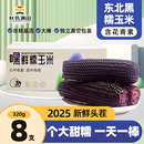黑糯玉米东北黑玉米真空装 2025新鲜加热即食礼盒大棒苞米黄粘玉米