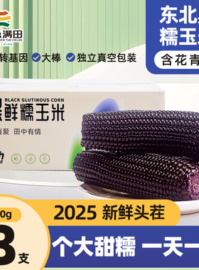 黑糯玉米东北黑玉米真空装2025新鲜加热即食礼盒大棒苞米黄粘玉米