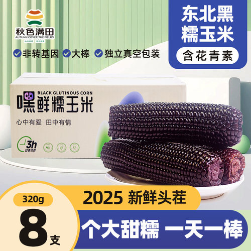 2025糯玉米东北真空新鲜含花青素