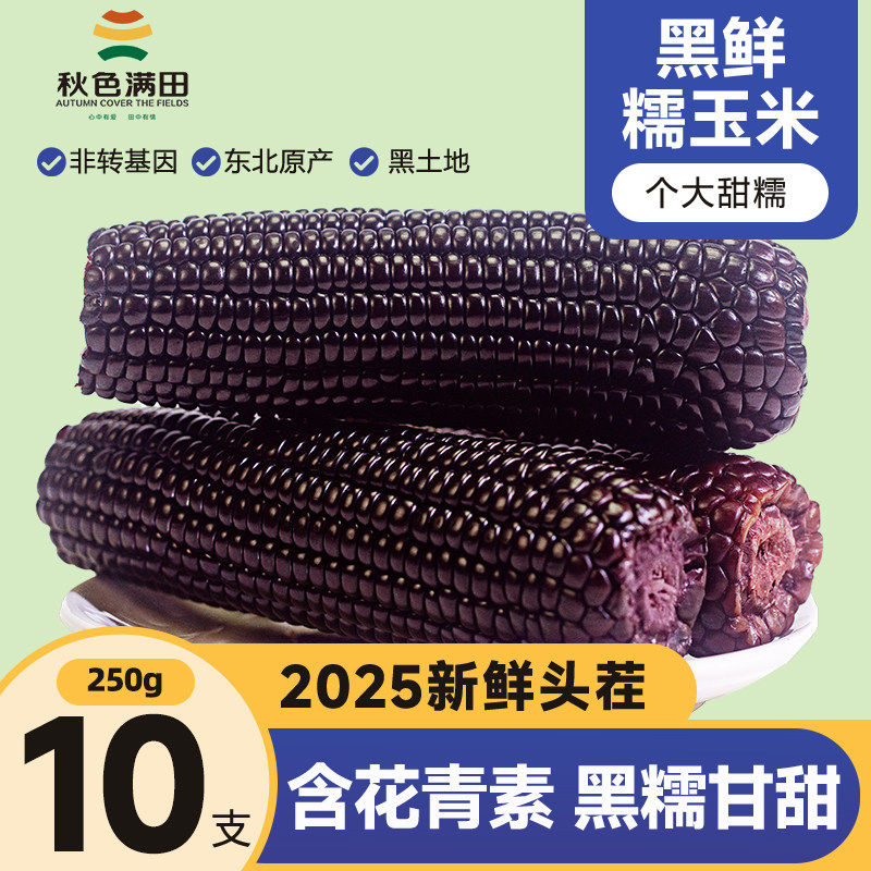 2025东北黑糯玉米真空装黑玉米新鲜玉米甜糯黄玉米苞米黏玉米大棒