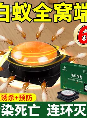 白蚁防治专用药全窝端家用非无毒室内引诱盒杀蚂蚁飞蚁蛀虫杀虫剂