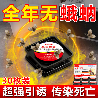 蛾蚋除虫剂专用卫生间下水道杀虫剂厨房水槽灭飞娥妠幼虫诱捕神器