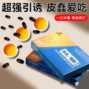 皮蠹杀虫剂黑皮粉蠹幼虫杀虫饵剂花斑小圆蠹虫药家用灭防诱捕饵盒