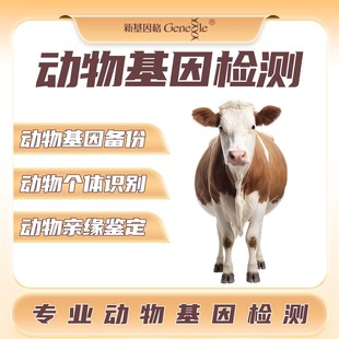 动物基因检测 狗/牛/马基因备份个体识别亲缘鉴定 动物DNA检测