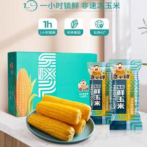 傻小胖【新品】黄糯有机玉米老人孩子都爱吃10根真空包装非转基因