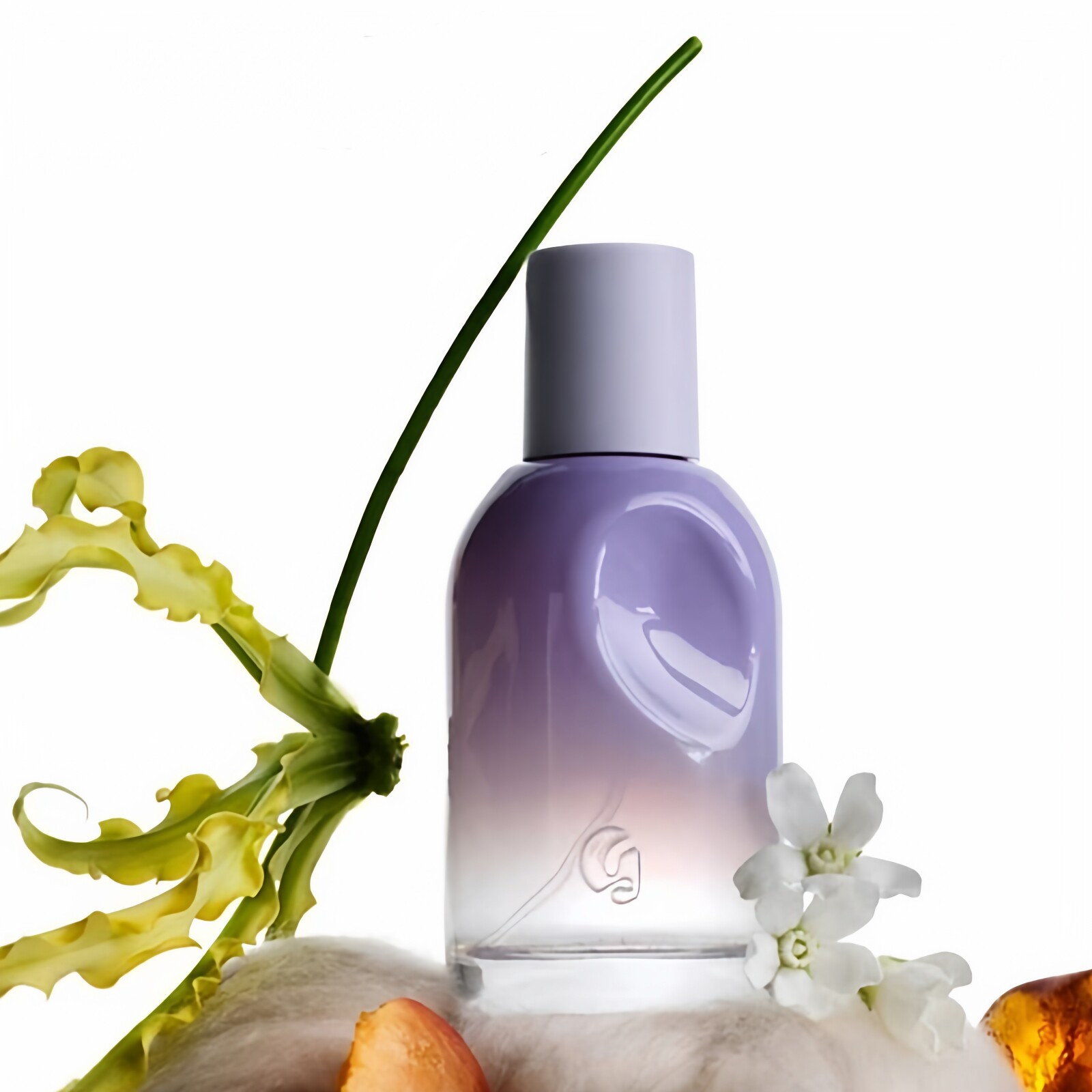 Glossier You香水 Fleur花kath推荐光彩 you Doux檀香木Reve小样