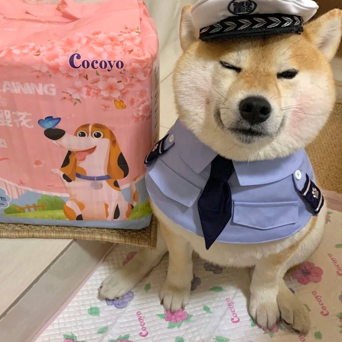 大型犬小狗猫咪狗围脖口