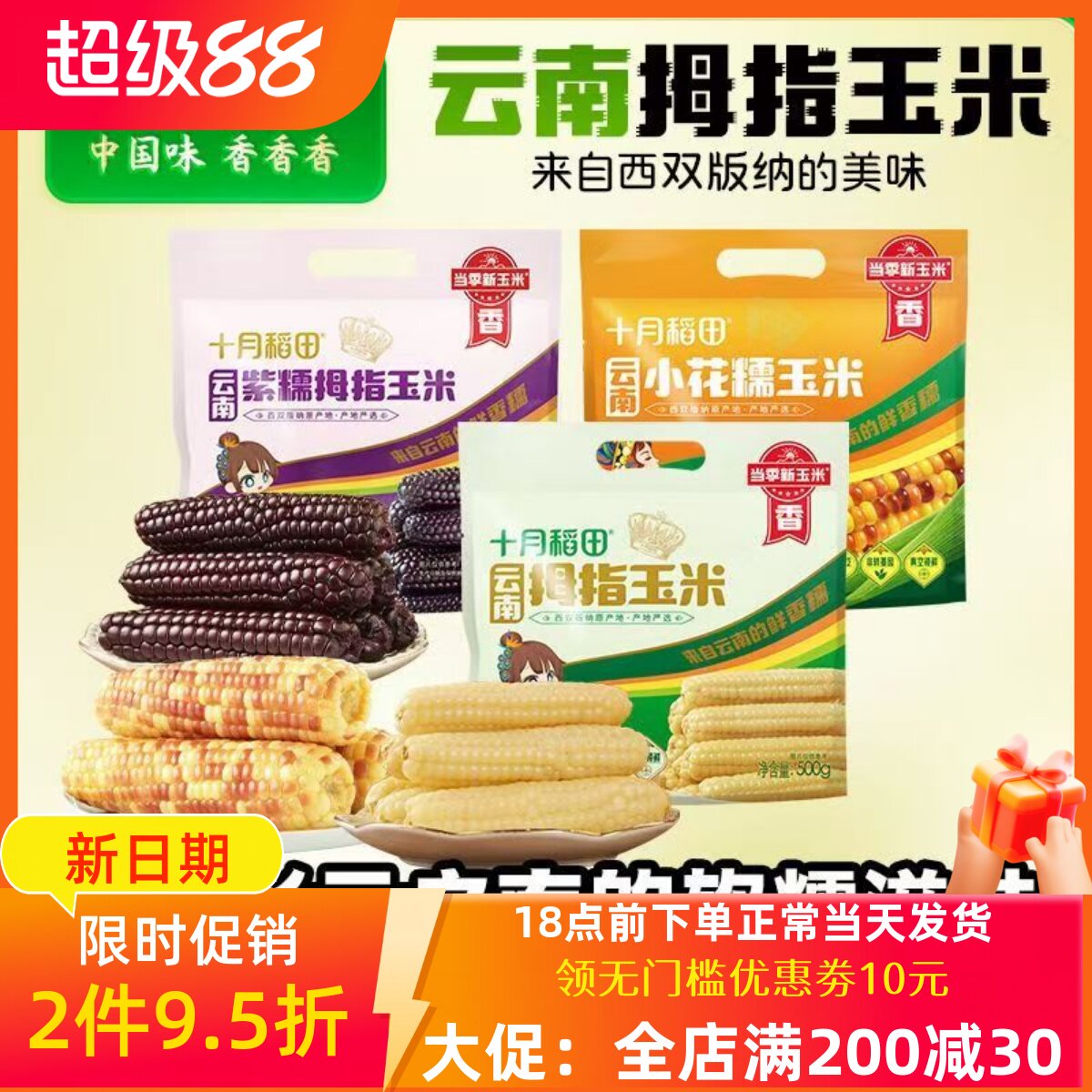 十月稻田西双版纳香糯拇指玉米