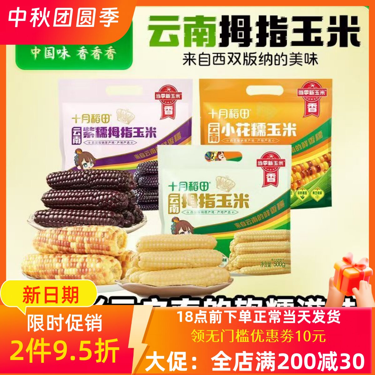 十月稻田西双版纳香糯拇指玉米