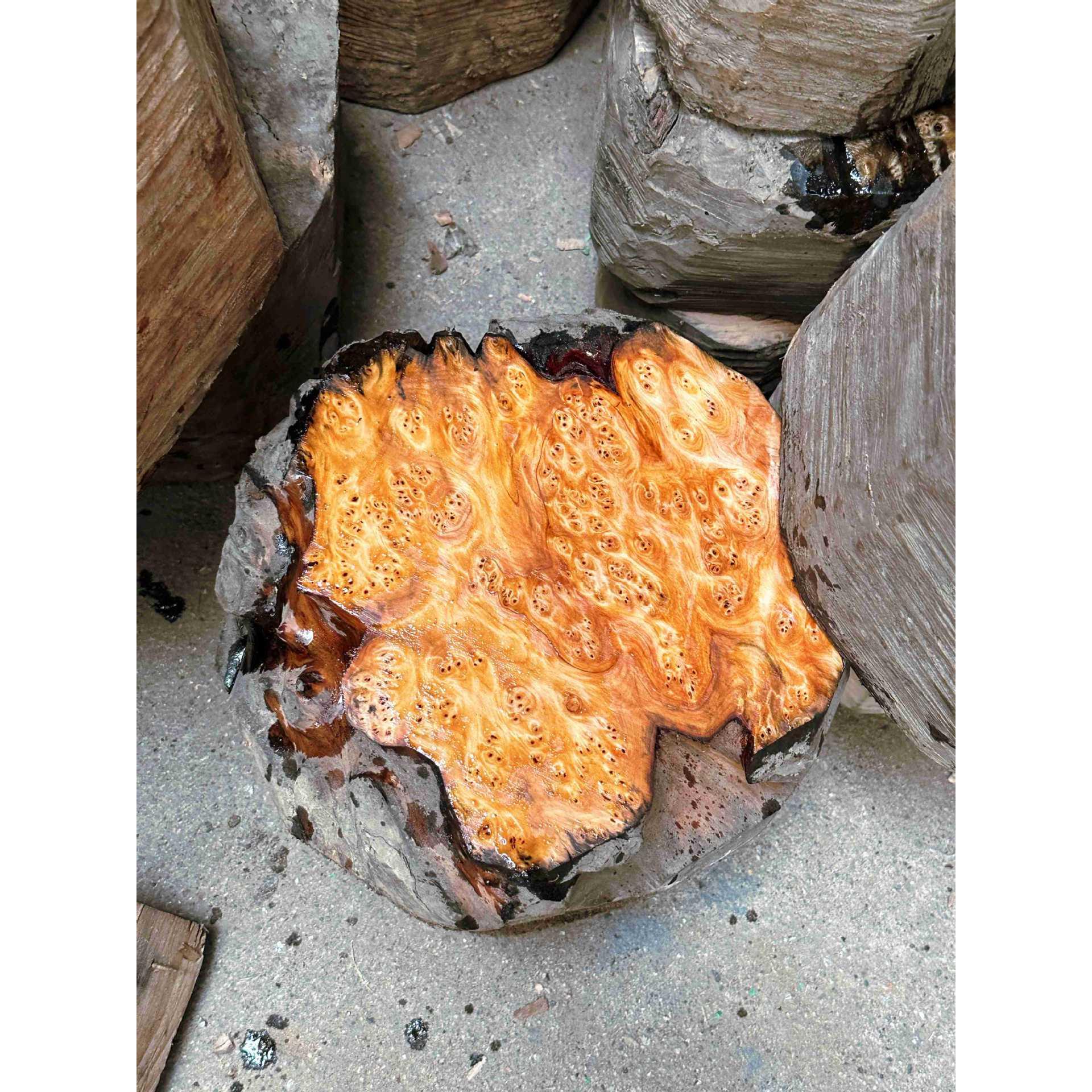 密集树瘤碗料藏碗料蒙古碗料树瘤原木原料工艺品树瘤料