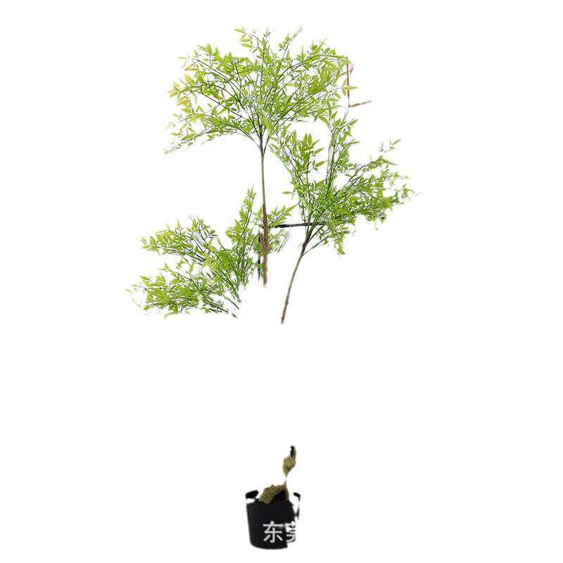 欧式风仿真植物南天竹仿真盆栽仿生绿植盆景假树造景客厅落地花艺