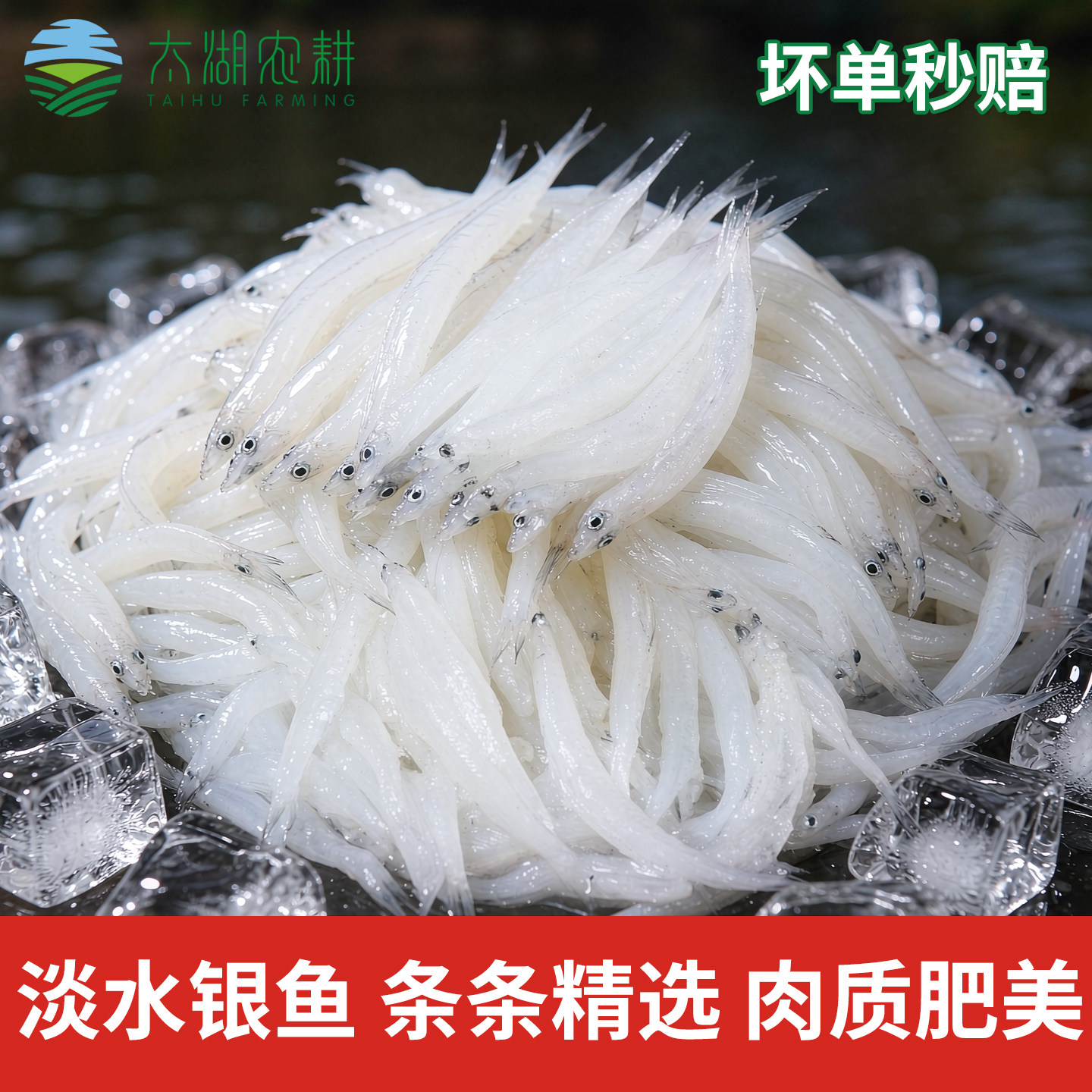 苏州太湖农耕新鲜冷冻银鱼无骨无刺鲜活冷冻锁鲜淡水小银鱼仔宝宝