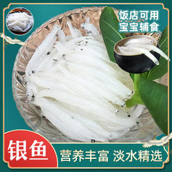 太湖农耕银鱼新鲜食用三白小银鱼鲜活淡水冷冻银鱼宝宝辅食营养