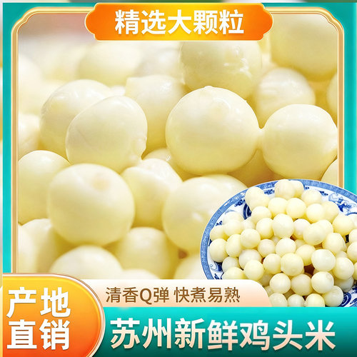 苏州特产新鲜芡实非手剥