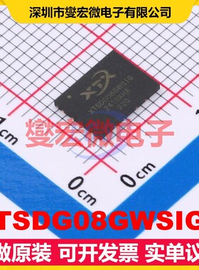 XTSDG08GWSIGA WSON-8-EP(6x8) 8Gbit NAND FLASH存储器芯片IC