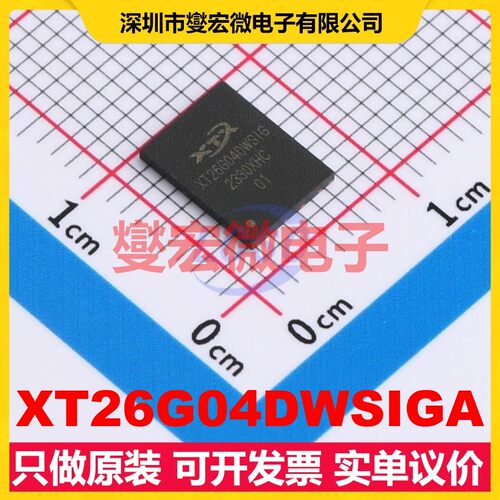 XT26G04DWSIGA WSON-8-EP(8x6) 4Gbit NAND FLASH存储器芯片IC