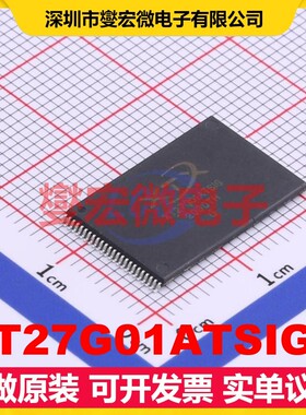 XT27G01ATSIGA TSOPI-48 1Gbit NAND FLASH存储器