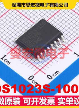 DS1023S-100+ SOIC-16-300mil 4.75V~5.25V 255ns 时钟延迟芯片IC