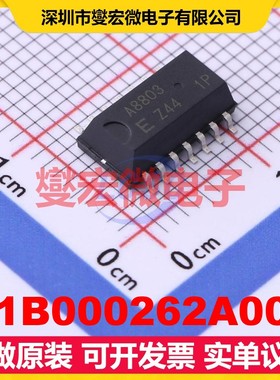 X1B000262A002 SOP-14-5.0mm 实时时钟芯片IC