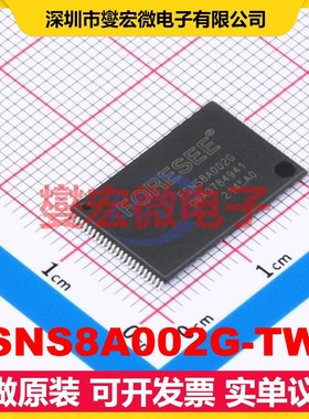 FSNS8A002G-TWT TSOP-48L 2Gbit NAND FLASH存储器芯片IC