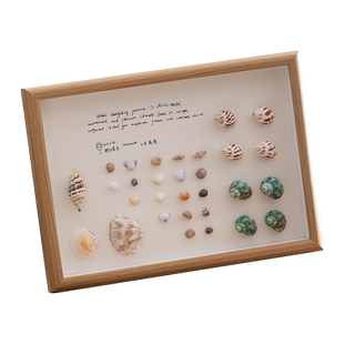 贝壳干花相框创意昆虫标本diy手工立体摆台中空相框木质装裱画框