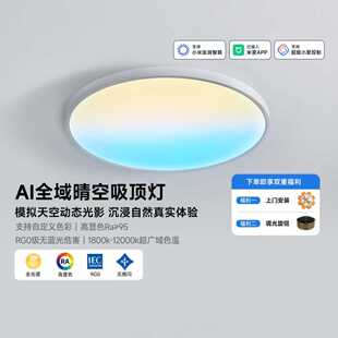 borlle堡丽AI晴空灯天境灯全色域全光谱家用吸顶灯已接入米家APP
