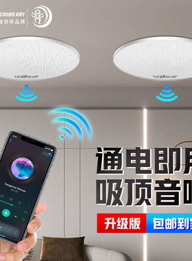 雷公王CR-501吸顶喇叭吊顶蓝牙定阻同轴音响嵌入式家用蓝牙重低音