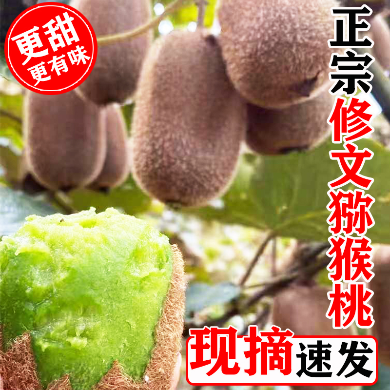 贵州修文猕猴桃地标产品现摘贵长绿心弥猴桃新鲜孕妇水果奇异果