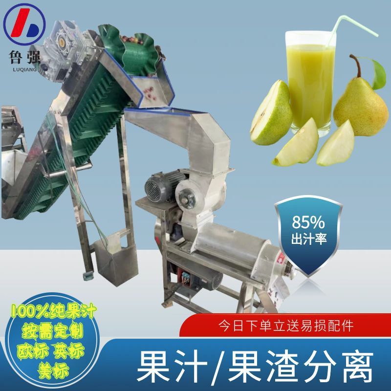 螺旋榨汁机 椰汁椰奶加工设备 鲁强牌专业款椰奶挤出榨汁设备