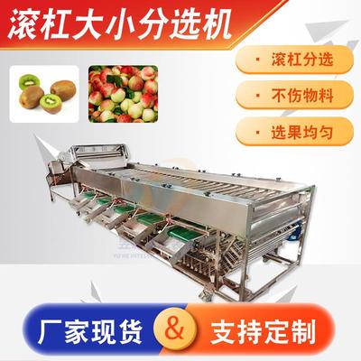 全自动柑橘选果机 柠檬筛选分级机 果场用滚杠大小分选选果机