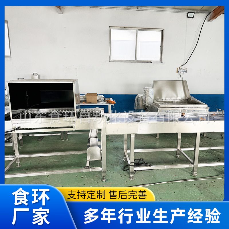 全自动四排六排洗蛋机 大型鸡蛋咸鸭蛋松花蛋商超保洁蛋品清洗机