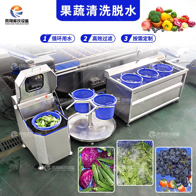 凤翔 工厂直销果蔬气泡清洗脱水小型解决方案草莓葡萄去虫去农残