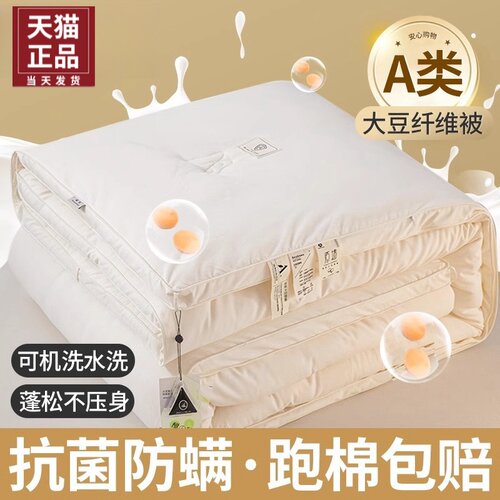A类大豆抗菌被子被芯加厚冬被