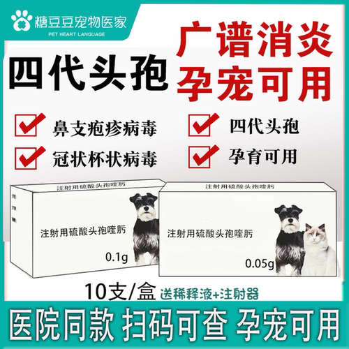 宠物头孢喹肟猫鼻支疱疹