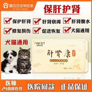 肝肾康宠物犬猫咪通用保肝护肾缓解肝腹水肝硬化肾功能衰竭口服药