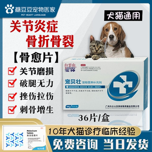骨伤愈合狗狗猫咪宠物骨折骨裂骨刺风湿扭伤四肢无力关节疼狗瘸腿