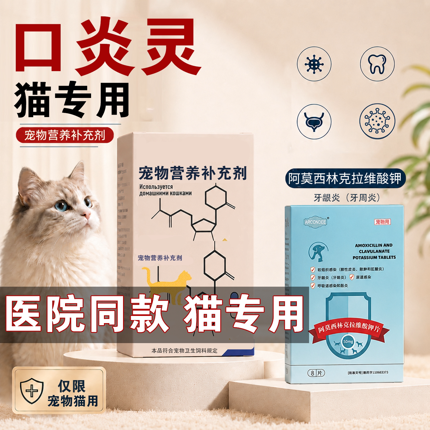 猫口炎杯状口炎阿莫西林速诺